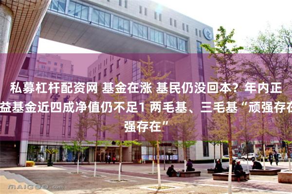 私募杠杆配资网 基金在涨 基民仍没回本？年内正收益基金近四成净值仍不足1 两毛基、三毛基“顽强存在”