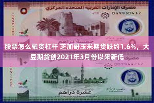 股票怎么融资杠杆 芝加哥玉米期货跌约1.6%，大豆期货创2021年3月份以来新低