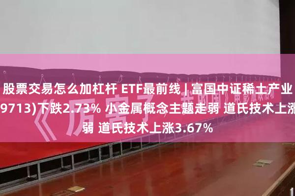 股票交易怎么加杠杆 ETF最前线 | 富国中证稀土产业ETF(159713)下跌2.73% 小金属概念主题走弱 道氏技术上涨3.67%