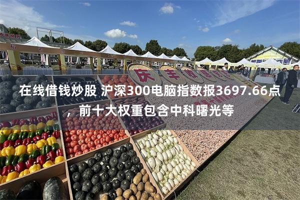 在线借钱炒股 沪深300电脑指数报3697.66点，前十大权重包含中科曙光等