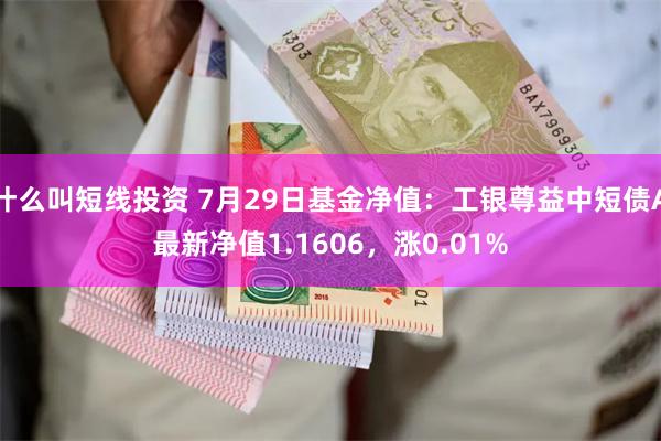 什么叫短线投资 7月29日基金净值：工银尊益中短债A最新净值1.1606，涨0.01%