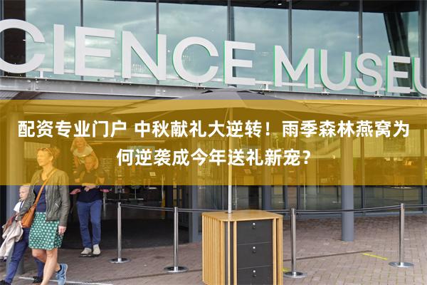 配资专业门户 中秋献礼大逆转！雨季森林燕窝为何逆袭成今年送礼新宠？