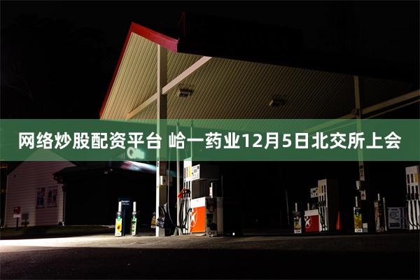 网络炒股配资平台 峆一药业12月5日北交所上会