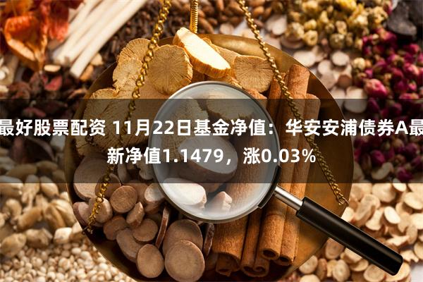 最好股票配资 11月22日基金净值：华安安浦债券A最新净值1.1479，涨0.03%