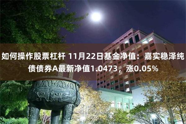 如何操作股票杠杆 11月22日基金净值：嘉实稳泽纯债债券A最新净值1.0473，涨0.05%