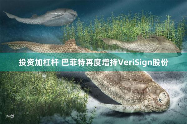 投资加杠杆 巴菲特再度增持VeriSign股份