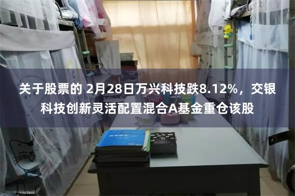 关于股票的 2月28日万兴科技跌8.12%，交银科技创新灵活配置混合A基金重仓该股