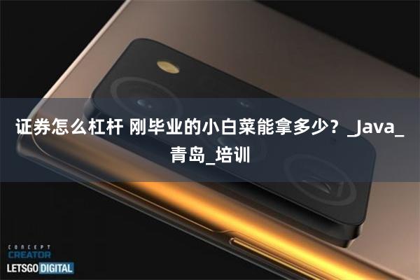 证券怎么杠杆 刚毕业的小白菜能拿多少？_Java_青岛_培训